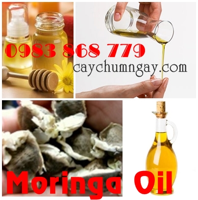 Moringa Oil  