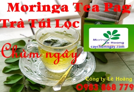 moringa tea (3)